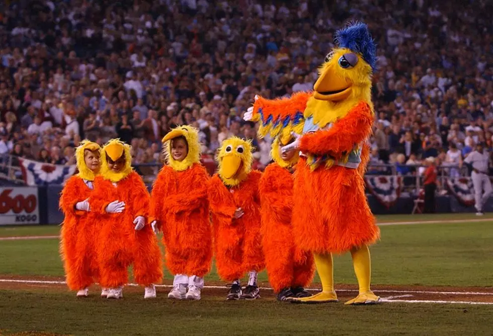 Ted Giannoulas AKA ‘The Famous Chicken’ Still Clucking After 42 Years
